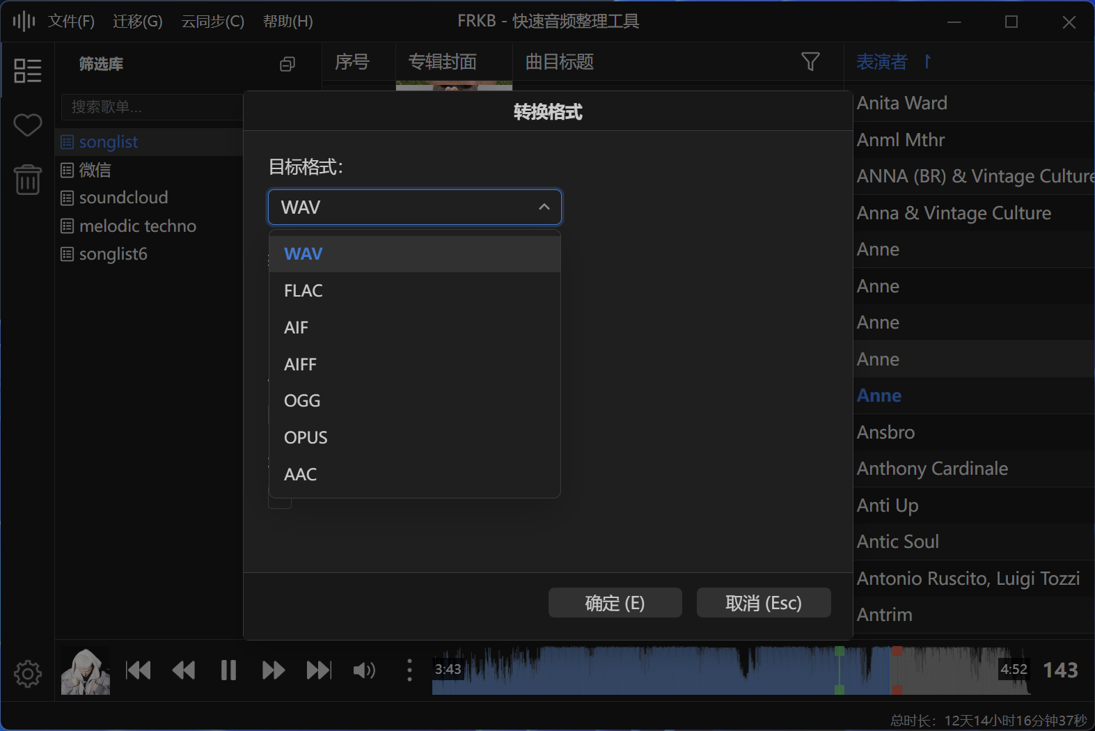 多格式播放与转换